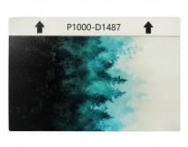 Защитная плёнка текстурная на заднюю часть Природа (Лес, D1487), S 120*180mm 